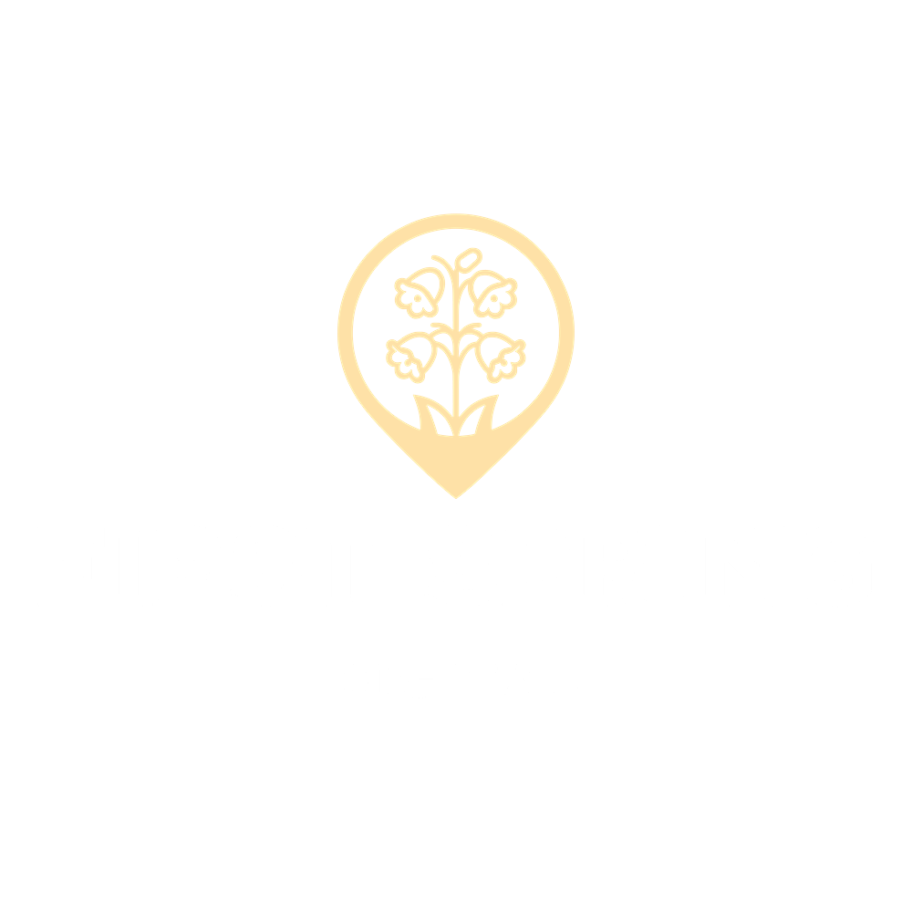 First Spring Digital logo